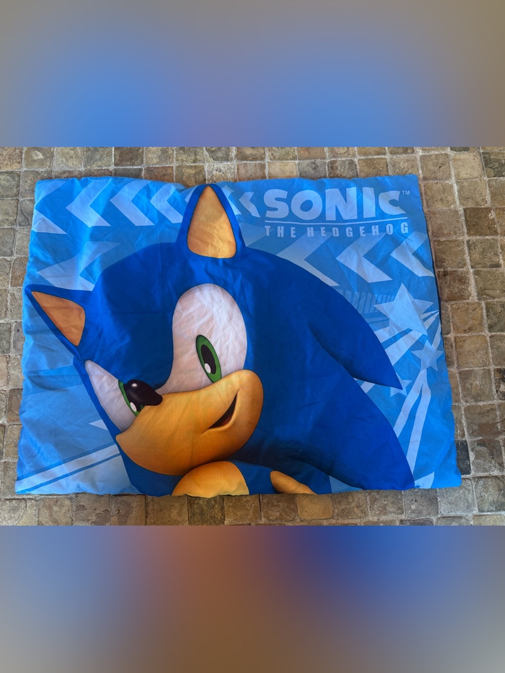 2 Sonic pillow cases like new